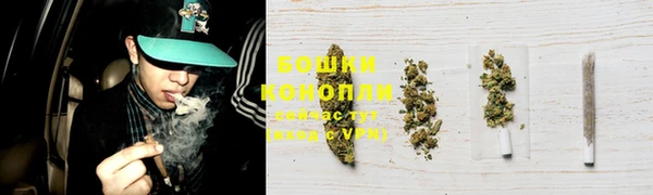 дживик Иннополис