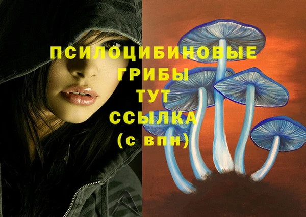 дживик Иннополис