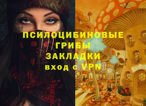 дживик Иннополис