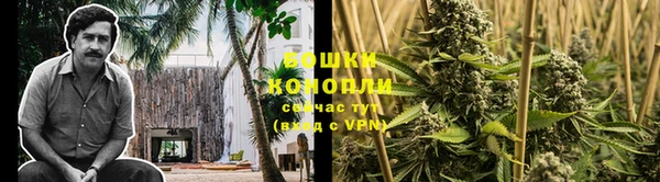 спайс Инта