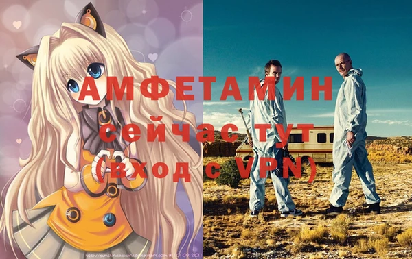 спайс Инта