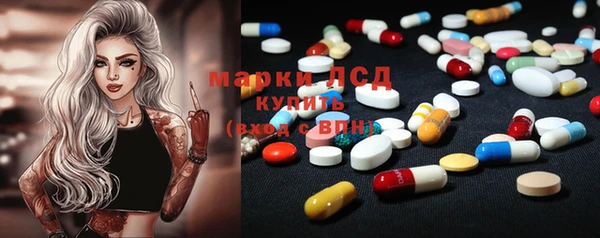 спайс Инта
